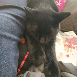 Meet your Posher, Mary